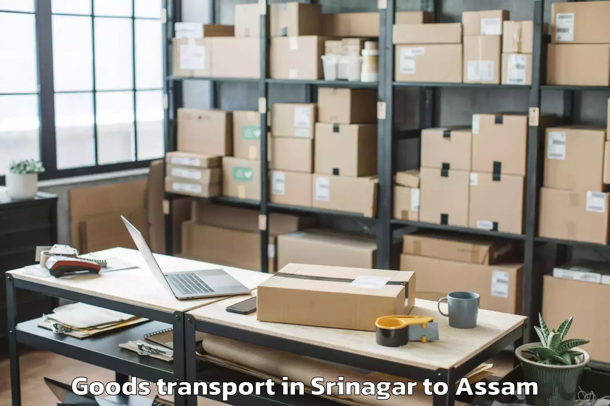 Leading Srinagar to Azara Goods Transport Provider